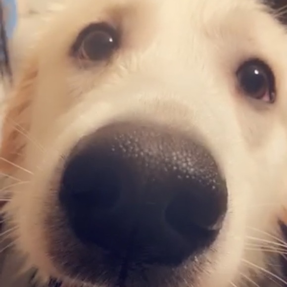 Meet your Posher, Matthew - Picture 1 of 1